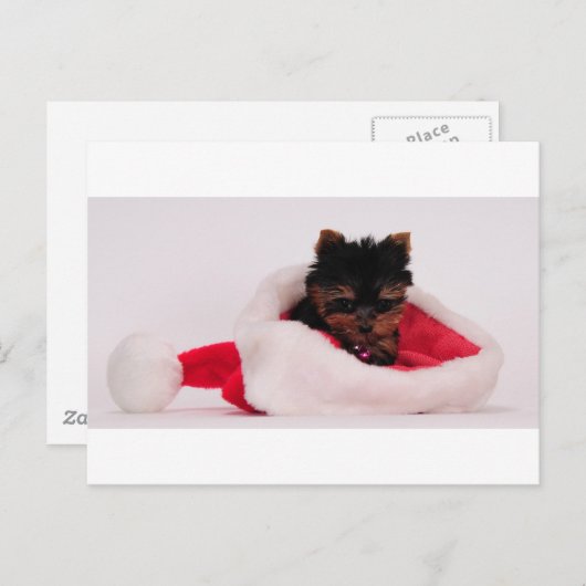 メリークリスマス シーズンポストカード (正面/裏面)