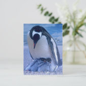 メリークリスマス シーズンポストカード (スタンド正面)