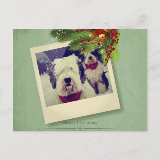 メリークリスマス! シーズンポストカード (正面)