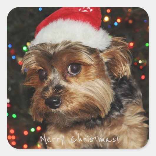 メリークリスマス スクエアシール (正面)