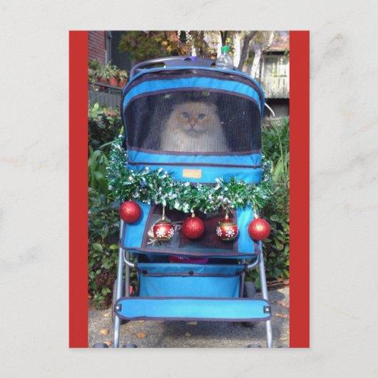 メリークリスマス&ハッピーニューイヤー ポストカード (正面)