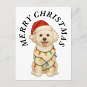 メリークリスマス ビション・フリーゼ サンタ帽子 犬 シーズンポストカード (正面)