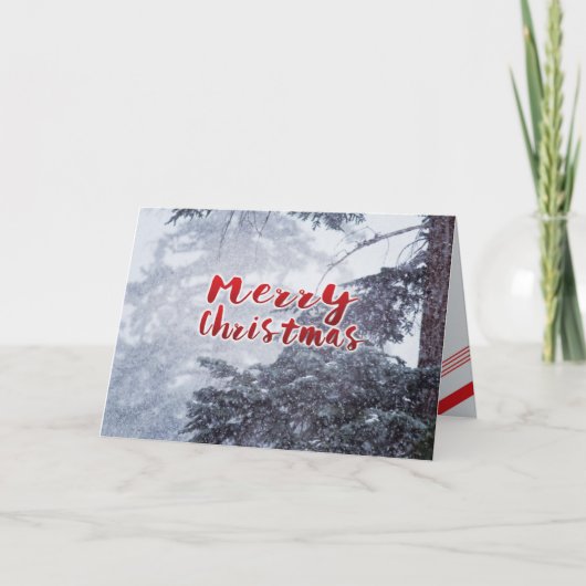 メリークリスマス |フォトグリーティングカード シーズンカード (正面)
