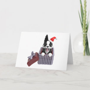 メリークリスマス ボーダーコリー カード