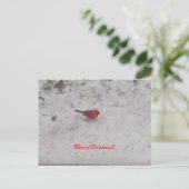 メリークリスマス!!ポストカード シーズンポストカード (スタンド正面)