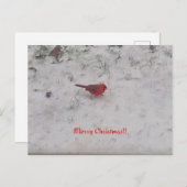 メリークリスマス!!ポストカード シーズンポストカード (正面/裏面)