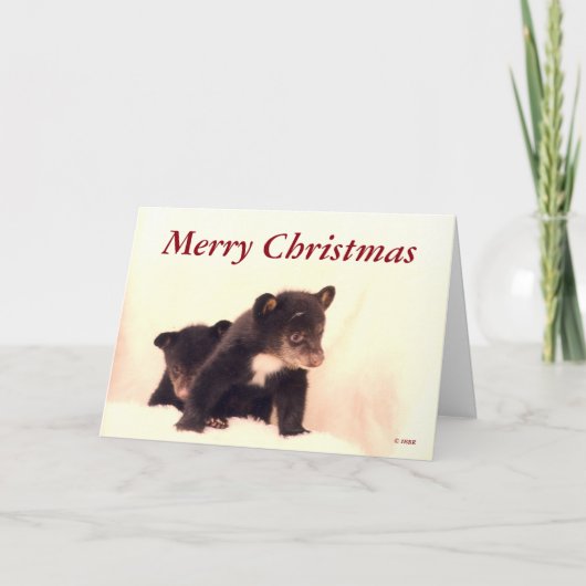 メリークリスマス – ラコタ&パイオートグリーティングカード シーズンカード (正面)