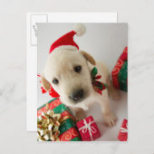 メリークリスマス-ラブラドルのかわいい子犬 シーズンポストカード (正面/裏面)