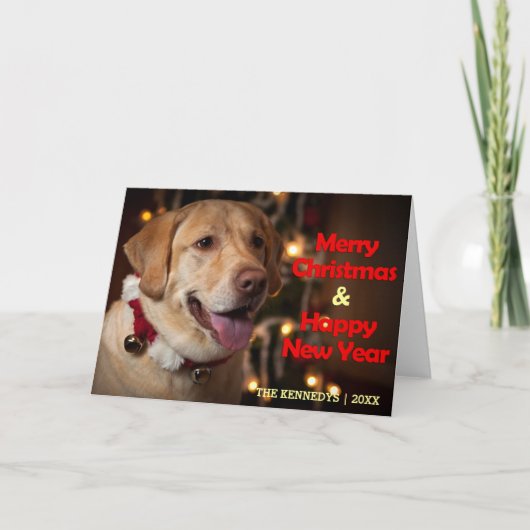 メリークリスマス-ラブラドル・レトリーバー犬の鐘つば シーズンカード (正面)