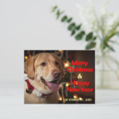 メリークリスマス-ラブラドル・レトリーバー犬の鐘つば シーズンポストカード (スタンド正面)