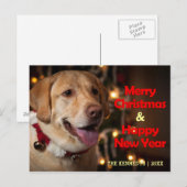 メリークリスマス-ラブラドル・レトリーバー犬の鐘つば シーズンポストカード (正面/裏面)