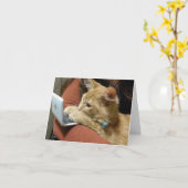 ***メリークリスマス*** 忙しいねこ カード (黄色い花)