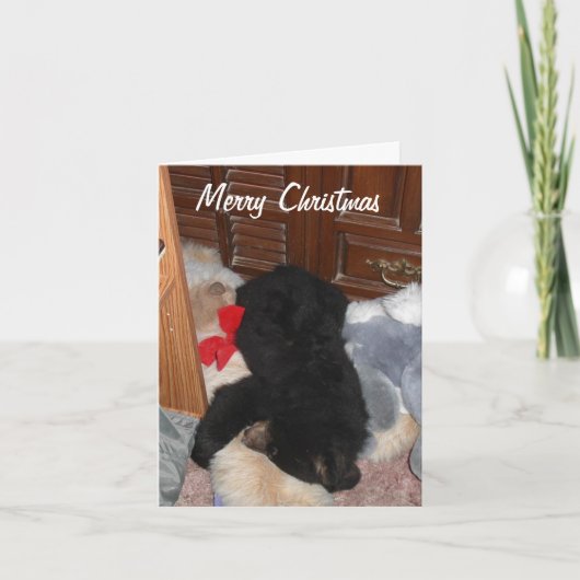 メリークリスマス-明るいShenandoah シーズンカード (正面)