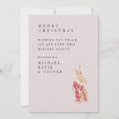 メリークリスマス |水の色ストライプのスカーフ束 (正面)