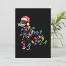 メリークリスマス 犬がクリスマスイルミネーションに絡まる