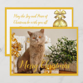 メリークリスマス 猫 写真 クリスマスのご挨拶 シーズンカード (正面/裏面)