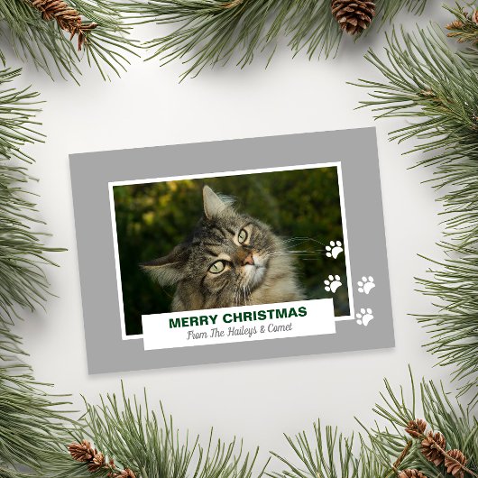 メリークリスマス 猫 白い足跡 写真 シーズンカード