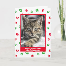 メリークリスマス 猫 赤 緑 肉球 プリント ペット 写真 シーズンカード