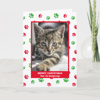 メリークリスマス 猫 赤 緑 肉球 プリント ペット 写真 シーズンカード