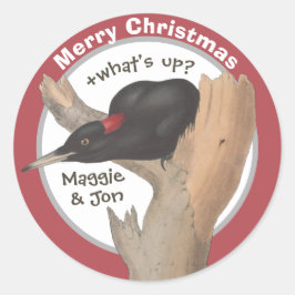 メリークリスマス!調子はどう?ジョン・グールドのキツツキ ラウンドシール