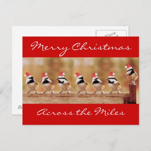 メリークリスマス《鳥》アメリカゴガラはがき シーズンポストカード (正面/裏面)