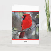 メリークリスマス（鳥）ショウジョウコウカンチョウグリーティングカード シーズンカード (裏面)