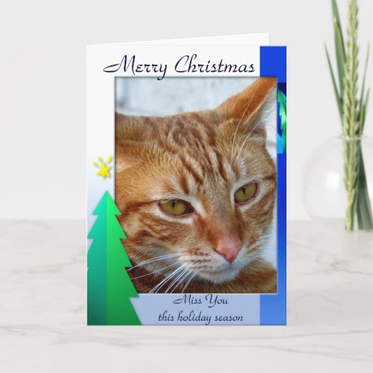 メリークリスマス,cat_Card シーズンカード (正面)