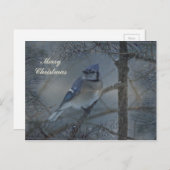 メリークリスマス – Eastern Blue Jay シーズンポストカード (正面/裏面)