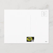 メリークリスマス – Eastern Blue Jay シーズンポストカード (裏面)