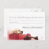 メリークリスマスIO子犬 シーズンポストカード (正面/裏面)