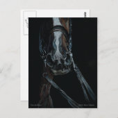 メリーグビッシュで手綱を取る ポストカード (正面/裏面)