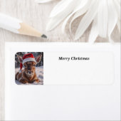 メリートリス ラベル (インサイチュ)