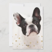 メリードグマスかわいい水彩犬の写真クリスマス シーズンカード (裏面)