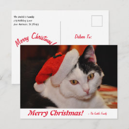 メリーパーソナライズされたクリスマスの黒猫 ポストカード