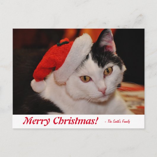 メリーパーソナライズされたクリスマスの黒猫 ポストカード (正面)