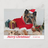 メリーパーソナライズされたクリスマスヨークシャーテリアテリアポストカ ポストカード (正面)