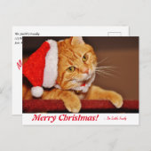 メリーパーソナライズされたクリスマス・オレンジのタビーキャットポスト ポストカード (正面/裏面)
