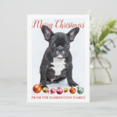 メリーパーソナライズされたスフランスのクリスブルドッグパピー シーズンカード (スタンド正面)