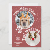 メリーモダンクリスマスのパワリーのペットおもしろい3枚の写真 シーズンカード (正面)