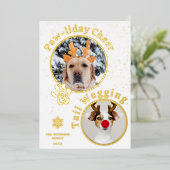 メリーモダンクリスマスのパワリーのペットおもしろい3枚の写真 箔シーズンカード (立ち正面)