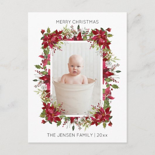 メリーモダンクリスマス赤ポインセチア写真 シーズンポストカード (正面)