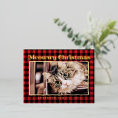 メリーモダンスのプおもしろいライド猫の写真 箔シーズンポストカード (立ち正面)