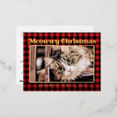 メリーモダンスのプおもしろいライド猫の写真 箔シーズンポストカード (正面/裏面)