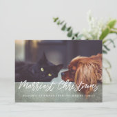 メリーモダンタイポグラフィ シーズンカード (スタンド正面)