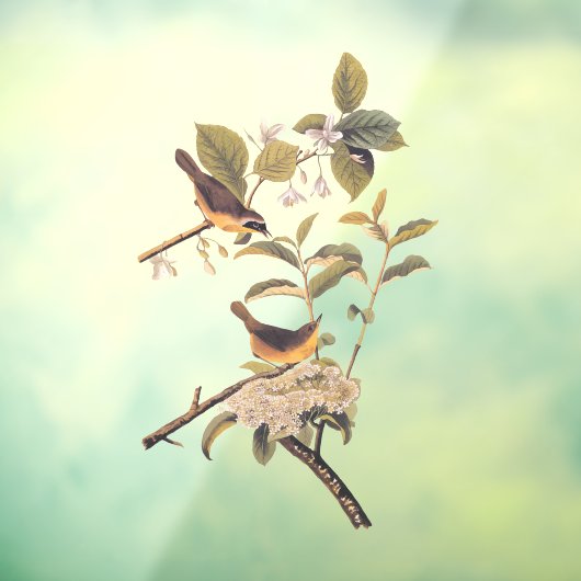 メリーランドイエロースロートオードボンバード ウィンドウサイン (シート3)