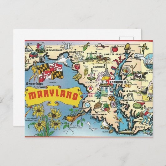 メリーランドヴィンテージのはがき ポストカード (正面/裏面)