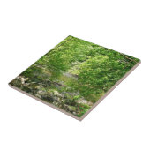 メリーランド州の自然写真 パタプスコ川の眺め タイル (側面)