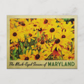 メリーランド州の黒目のサザンズ ポストカード (正面)