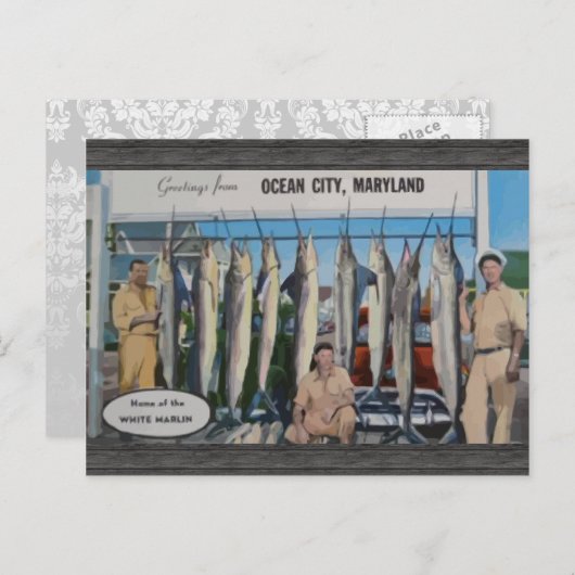 メリーランド州オーシャンシティ 白いマーリンの故郷 ヴィン ポストカード (正面/裏面)