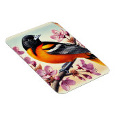 メリーランド州バードボルチモアオリオール マグネット (右側)